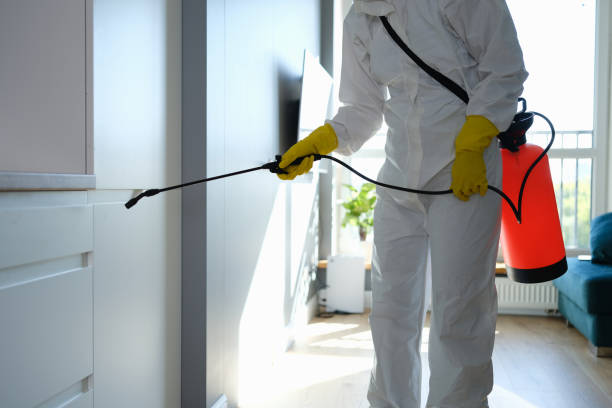 Best Mold Removal Near Me  in Trenton, NJ