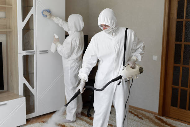 Best Commercial Mold Removal  in Trenton, NJ