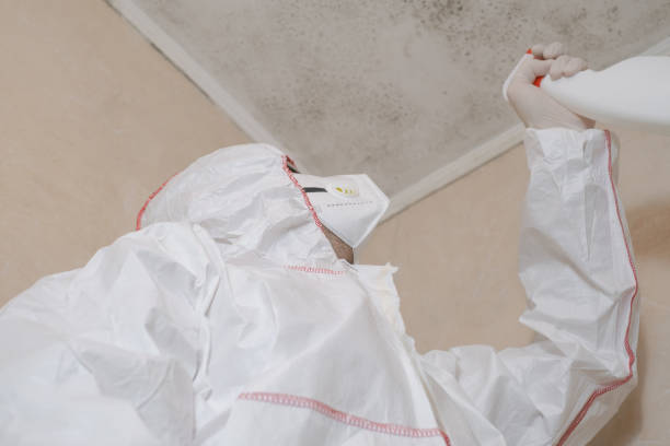 Best Office Mold Removal Services  in Trenton, NJ