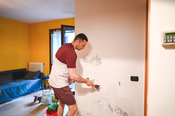 Best Local Mold Removal Service  in Trenton, NJ